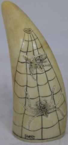 Appraisal: DECORATED WHALE'S TOOTH TH C WITH UNUSUALSPIDER WEB AND BUG