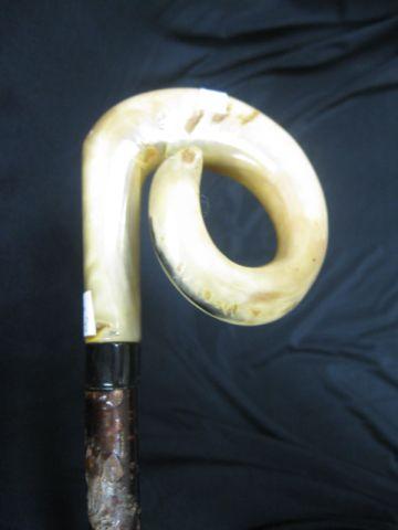 Appraisal: Antique Cane with Horn Handle