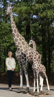 Appraisal: Mama and baby giraffe sculptures h and h Contemporary oversized