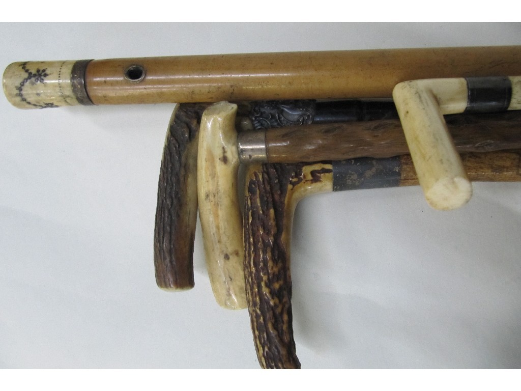 Appraisal: Lot comprising ivory walking cane two ivory handled sticks and