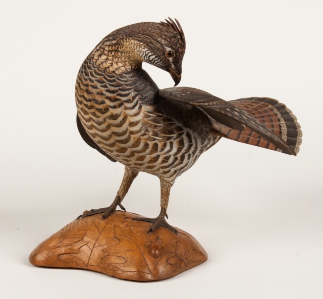 Appraisal: Painted preening wood grouse by Oliver Lawson on a carved