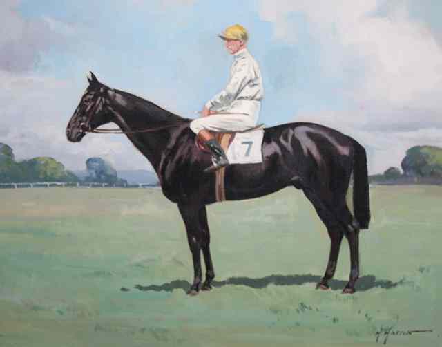 Appraisal: H HARRISA racehorse with jockey up signed oils on canvas