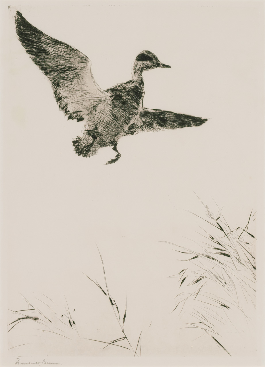 Appraisal: FRANK WESTON BENSON American - Springing Teal drypoint on paper