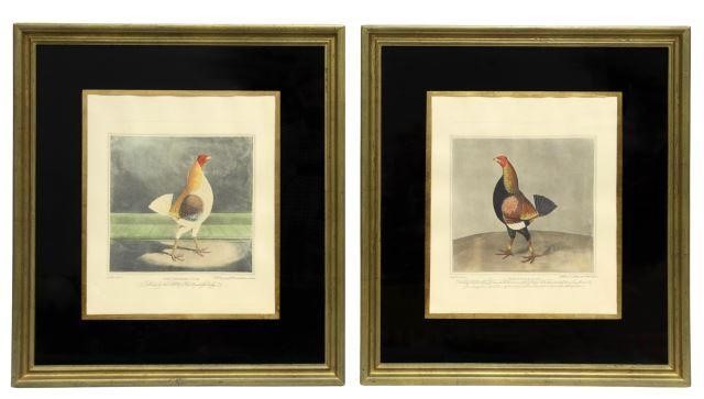 Appraisal: lot of Framed hand-colored aquatints on paper published by Robert