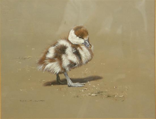 Appraisal: Alan M Hunt watercolour study of a duckling signed Saleroom