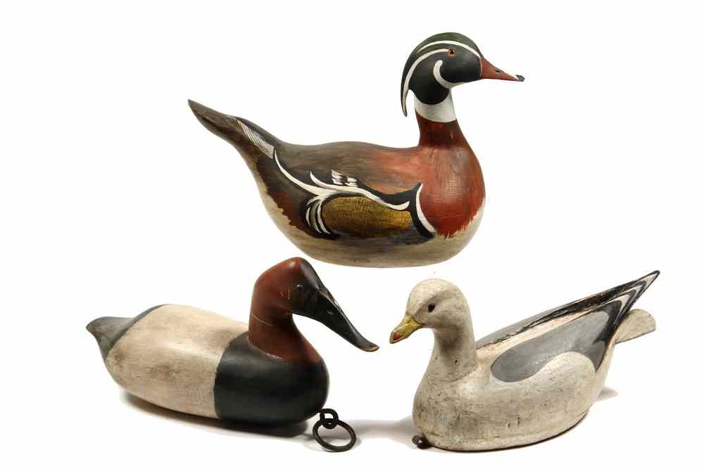 Appraisal: OVERSIZED DECOYS - All Modern including Seagull by David B