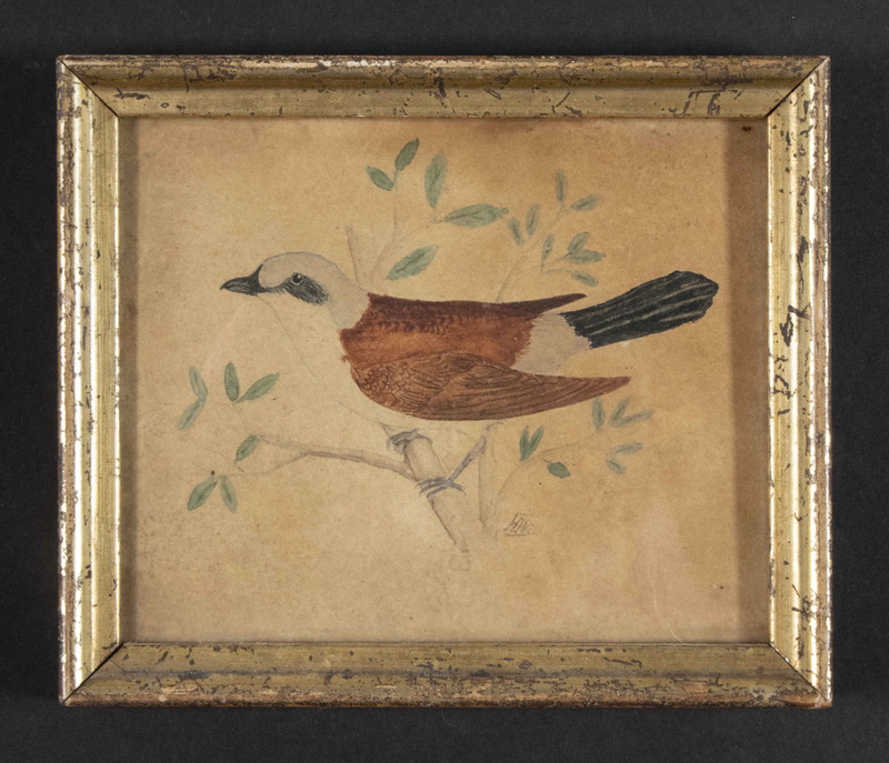 Appraisal: MINIATURE SCHOOL GIRL'S PAINTING OF A BIRD Redwing on a