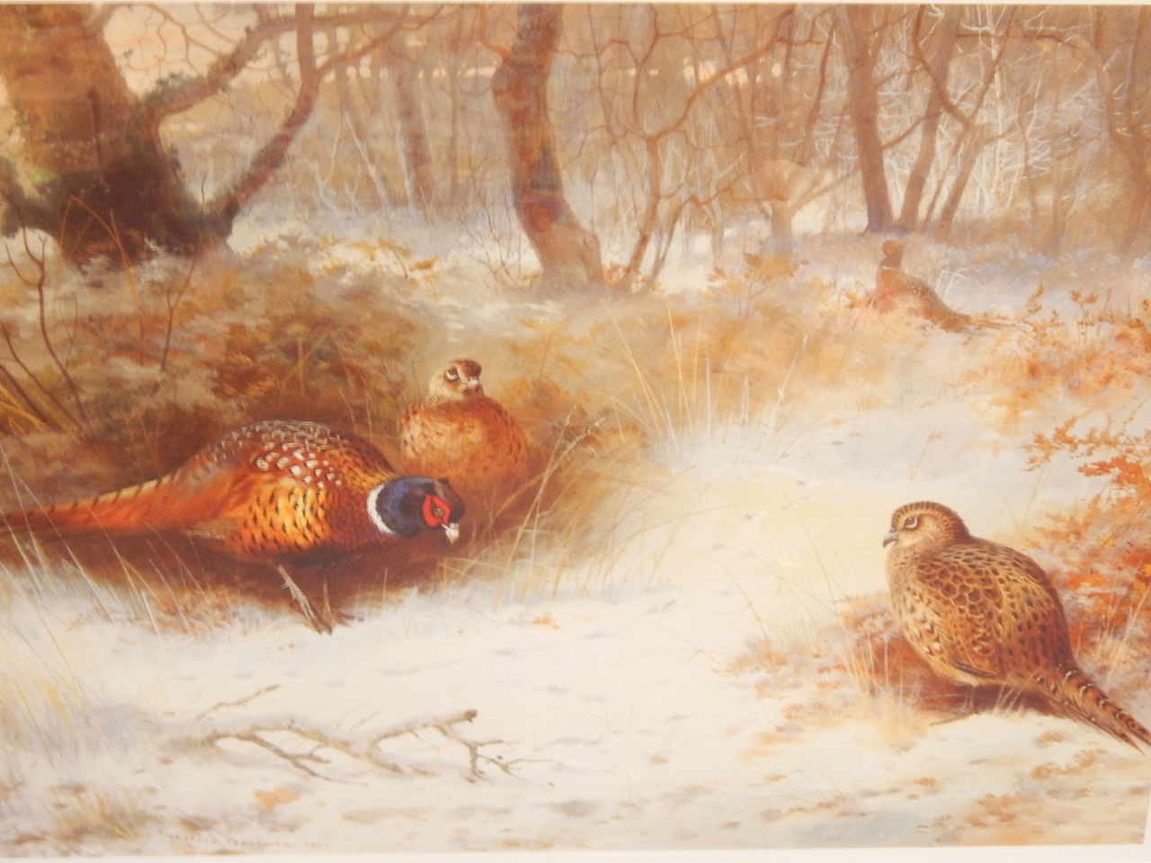 Appraisal: Archibald Thorburn Frost in the Coverts limited edition print cm