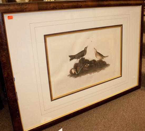 Appraisal: John James Audubon American - ''Brown Lark- Anthus Aquaticus'' hand