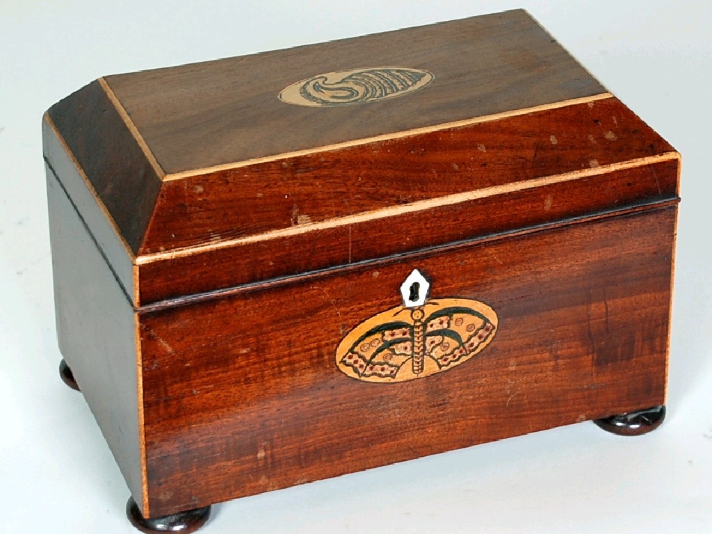 Appraisal: NINETEENTH CENTURY INLAID MAHOGANY TEA CADDY the oblong canted cover