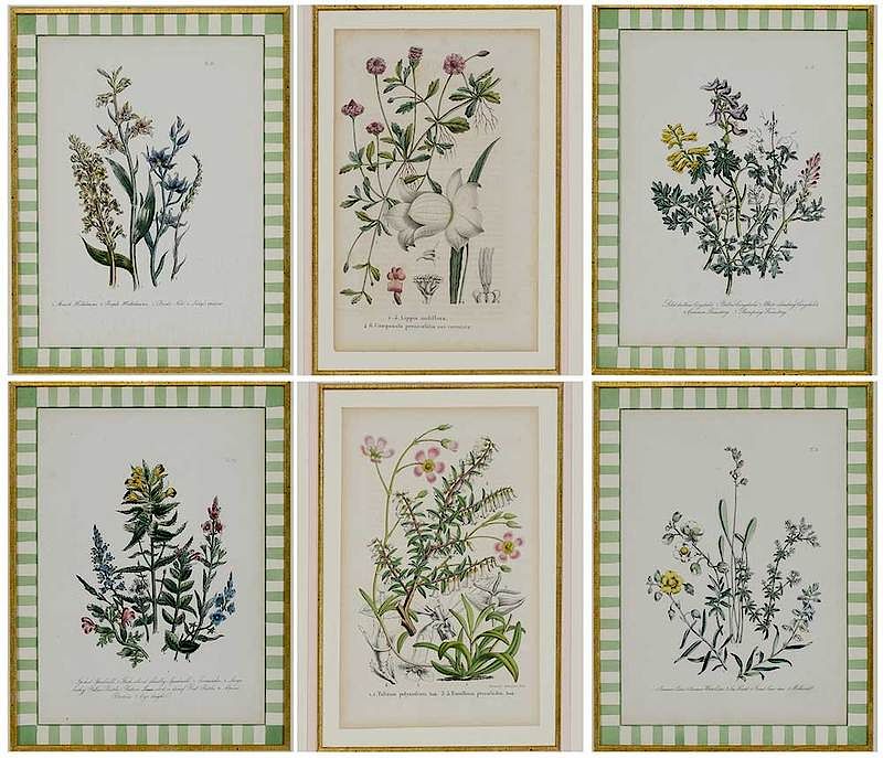 Appraisal: Six Framed Botanical Prints hand colored lithographs parcel gilt green