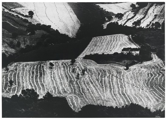 Appraisal: GIACOMELLI MARIO - Untitled From the Paesaggi series Silver print