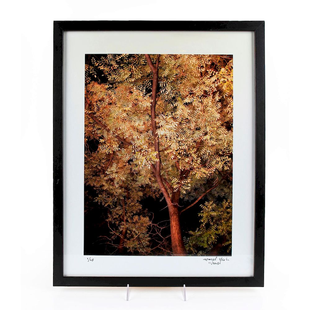 Appraisal: MARCEL YEOH PHOTOGRAPH TREES AT NIGHT Signed dated and numbered