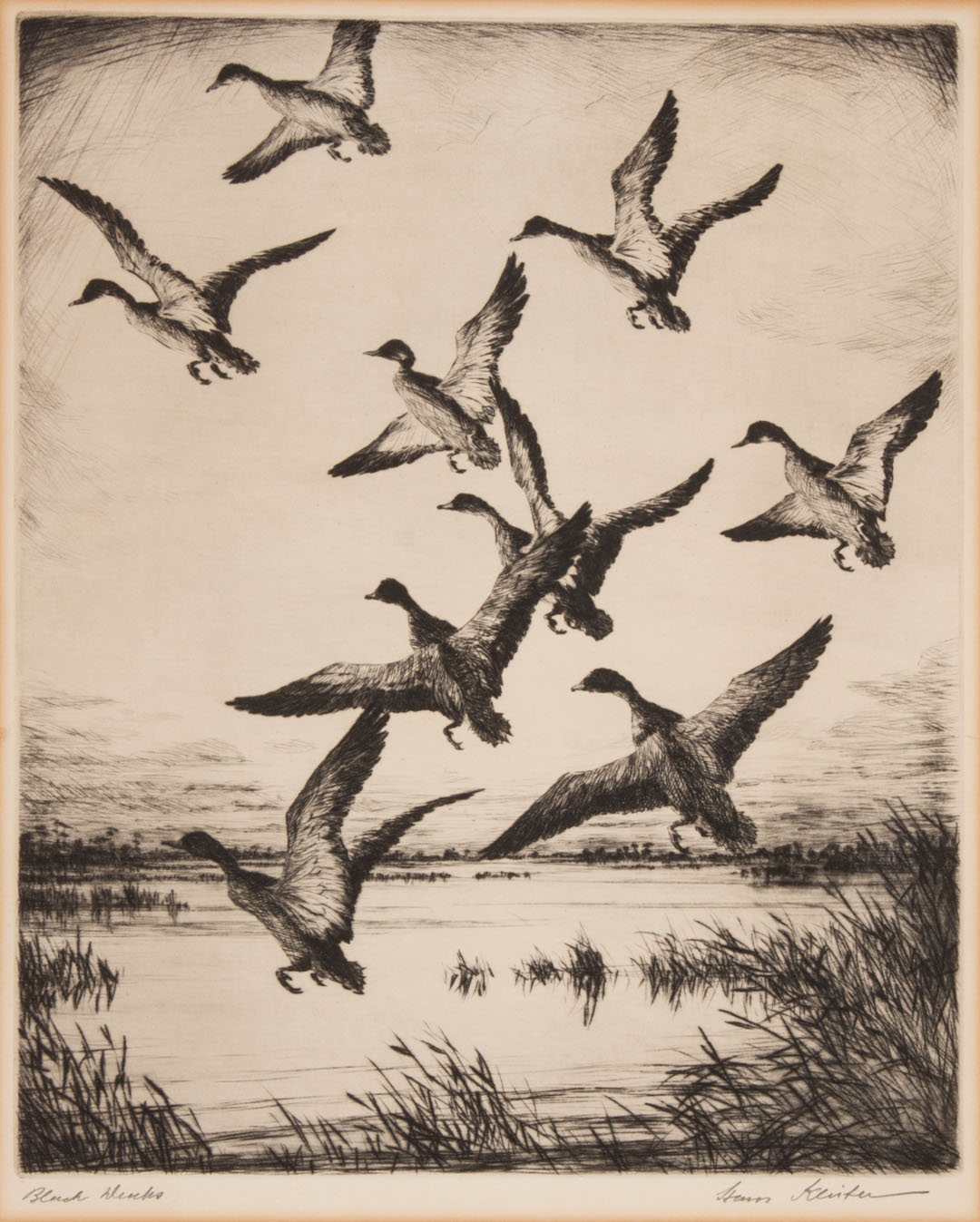 Appraisal: Hans Kleiber Black Ducks etching American - Signed Hans Kleiber