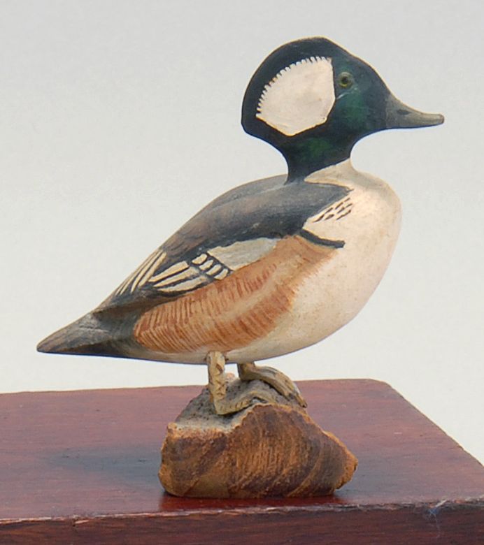 Appraisal: MINIATURE HOODED MERGANSER DRAKE Signed on base J Ahearn Mounted