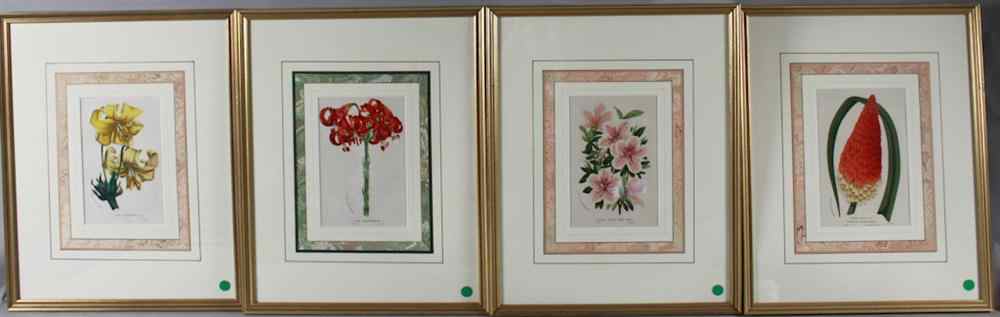 Appraisal: HORTO VAN HOUTTEANO BELGIUM TH CENTURY BOTANICAL LITHOGRAPHS FROM THE