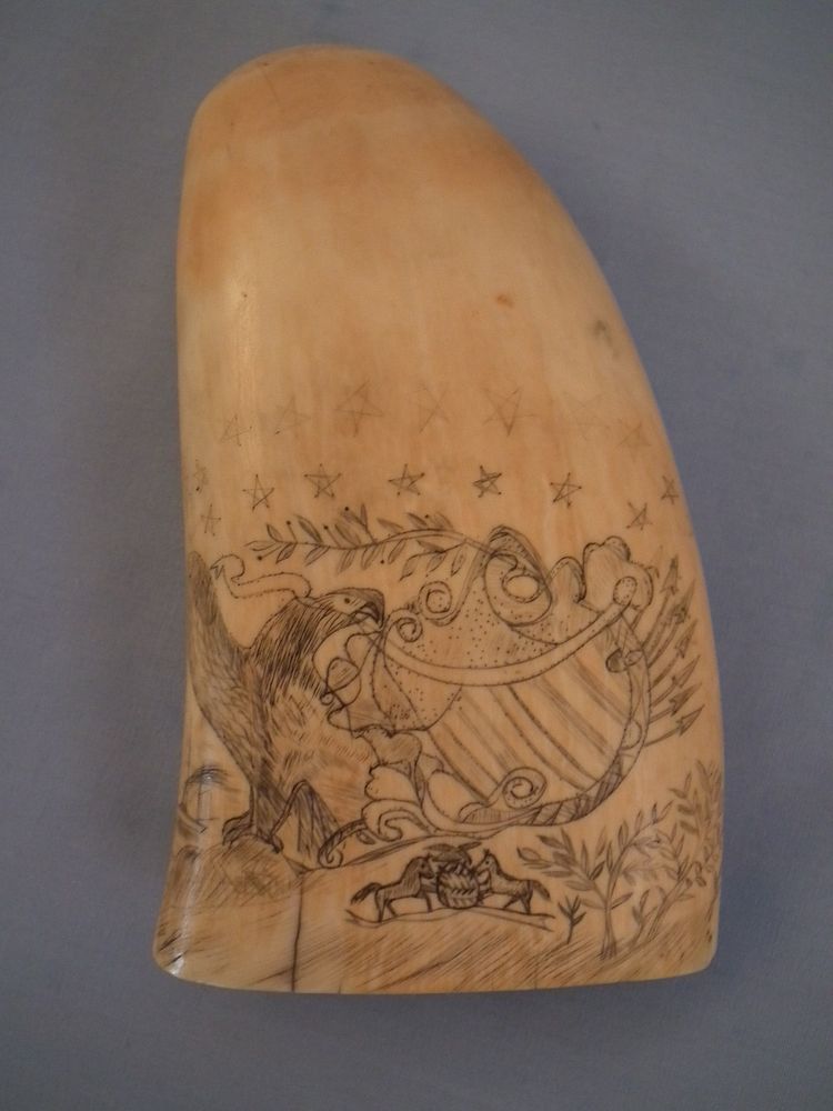 Appraisal: SCRIMSHAW WHALE TOOTH - AMERICAN EAGLE th century whale tooth