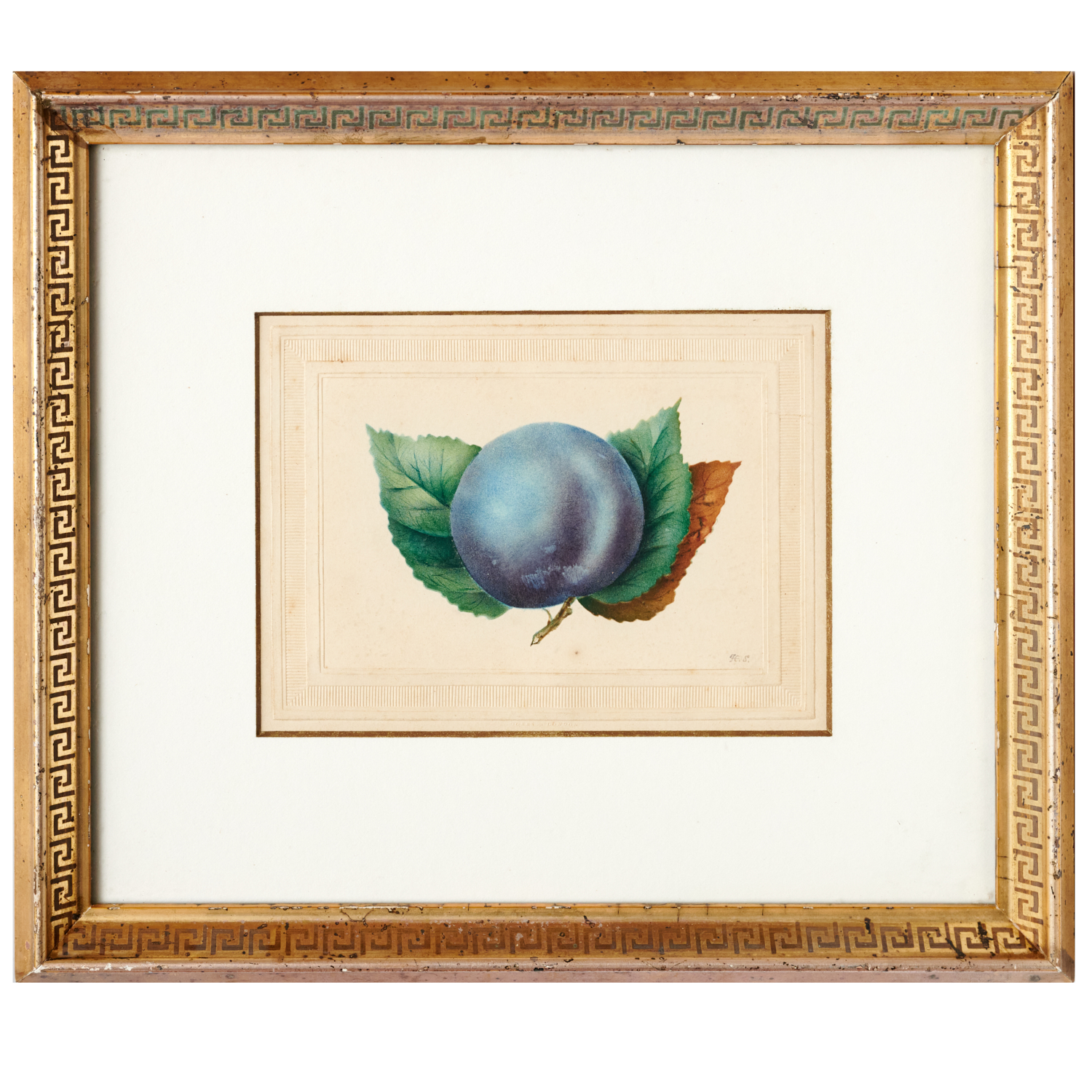 Appraisal: ENGLISH SCHOOL BOTANICAL WATERCOLOR c Plum watercolor on embossed card