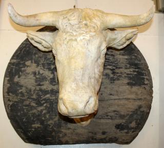 Appraisal: French terra cotta bull head butcher's sign French terra cotta