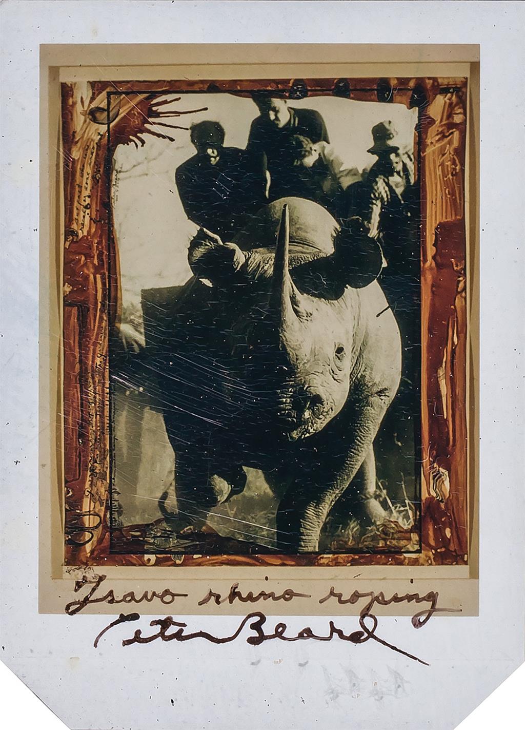 Appraisal: PETER BEARD American b Tsavo Rhino Roping polaroid signed Peter