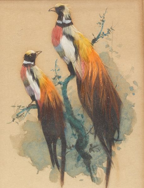 Appraisal: FIVE VICTORIAN FEATHERS AND WATERCOLOR MINIATURE COMPOSITIONS from x to