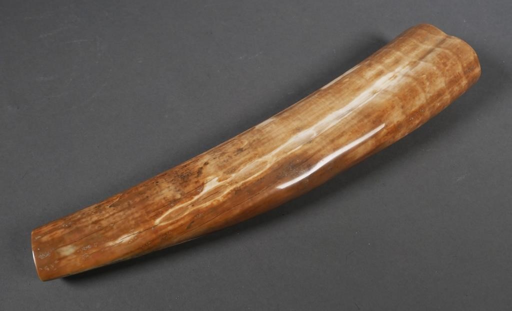 Appraisal: FOSSIL WALRUS IVORY TUSKFossilized walrus ivory tusk with variegated shades