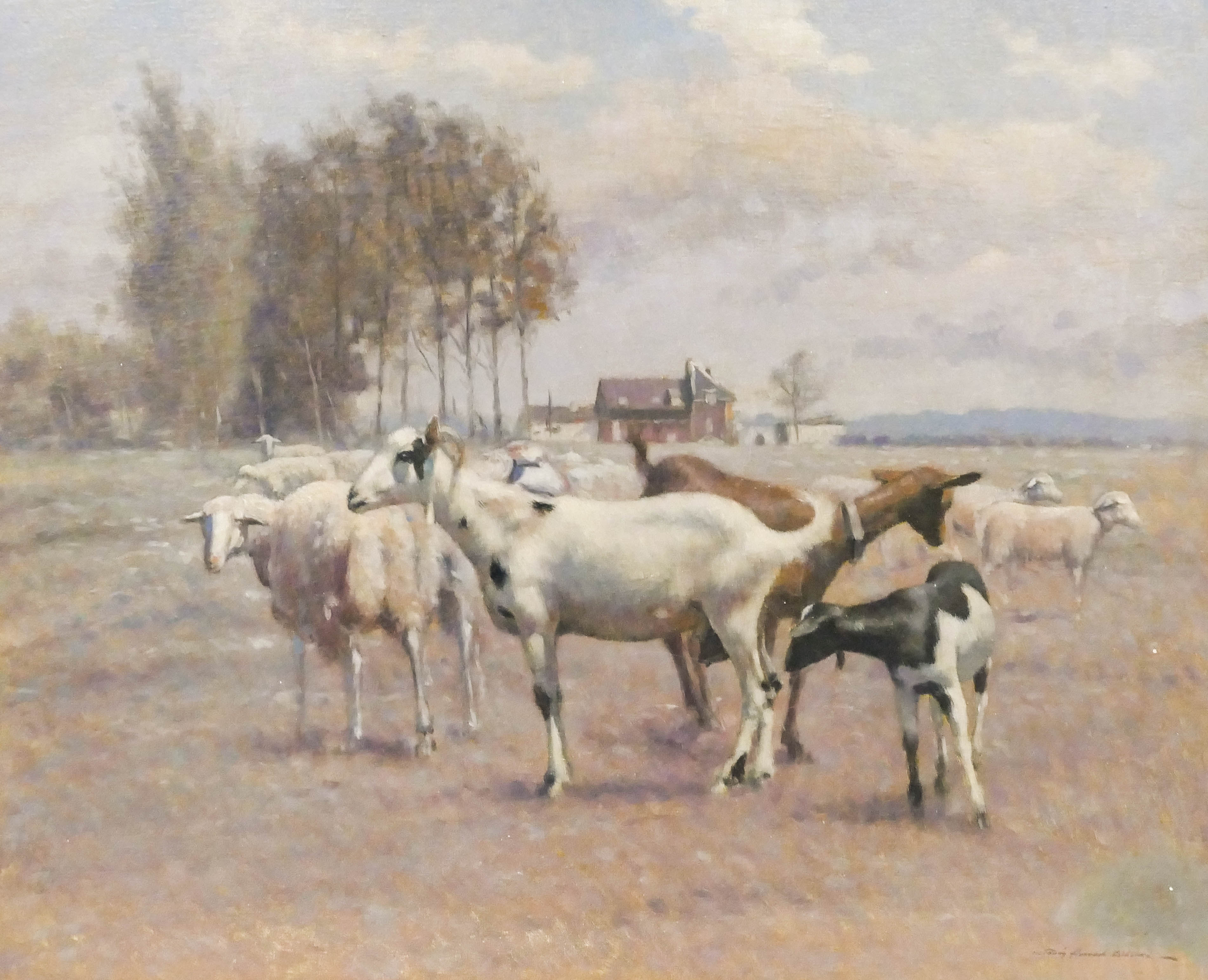 Appraisal: Tomas Horrach Bibiloni b Italian ''Goats'' Oil on Canvas ''x