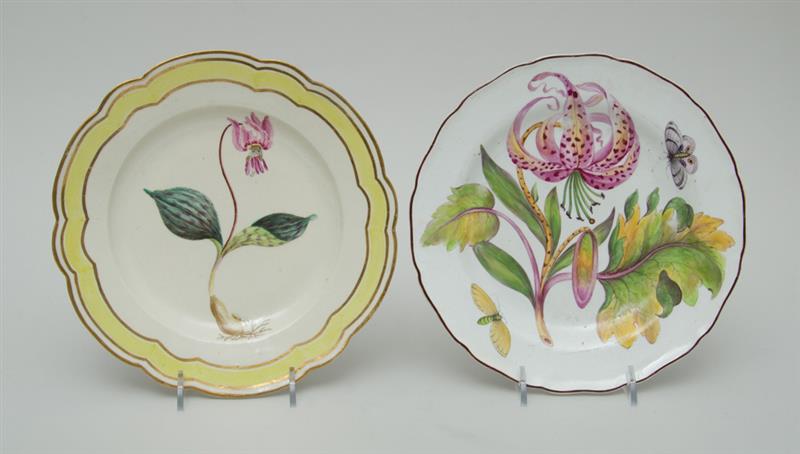 Appraisal: TWO PORCELAIN BOTANICAL PLATES One marked in underglaze iron red