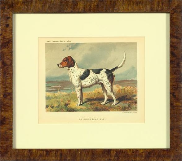 Appraisal: Suite of Four Chromolithographs from Cassell's Illustrated Book of the