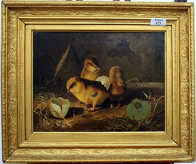 Appraisal: TH CENTURY ENGLISH SCHOOLThree newborn chicks and a further breaking