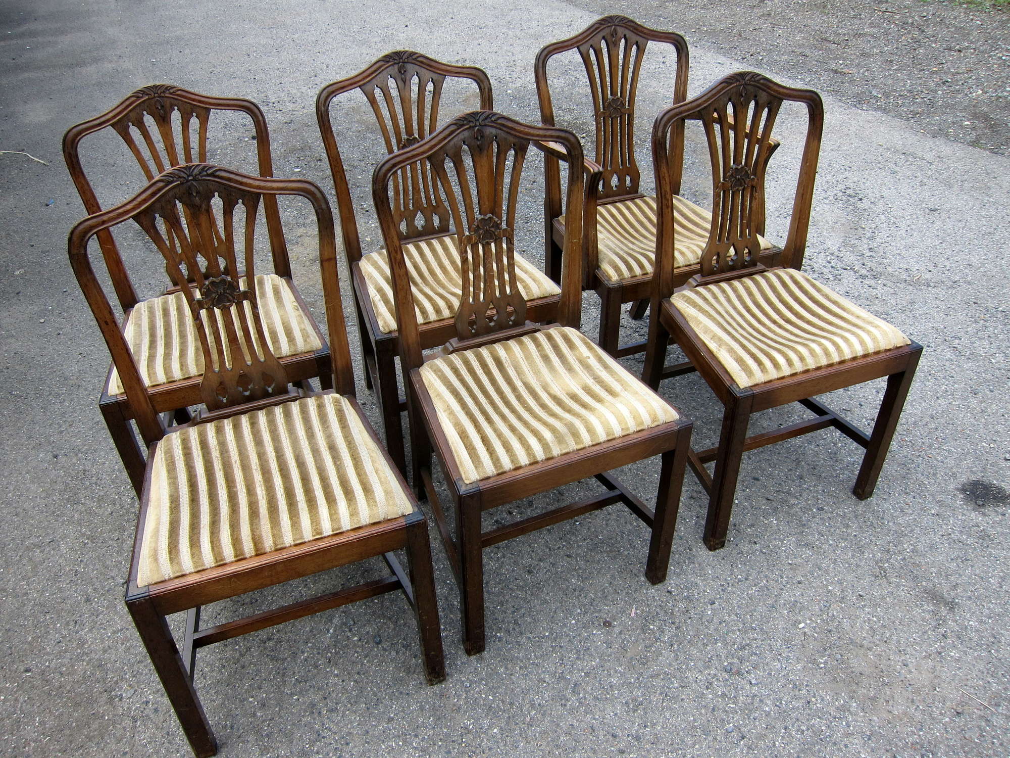 Appraisal: Six Sheraton style dining chairs