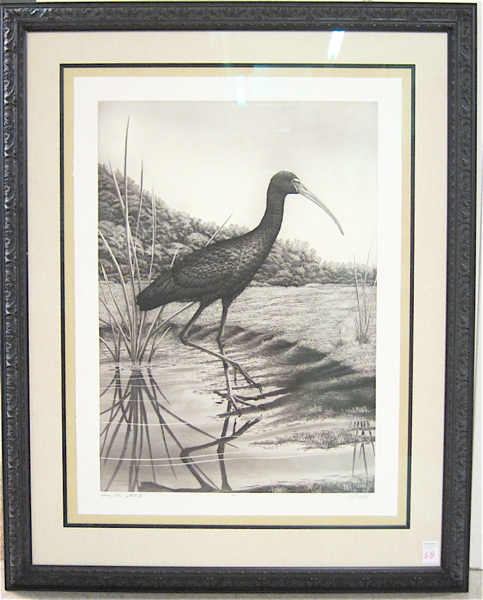 Appraisal: JOHN COSTIN ETCHING Florida th st century Titled Glossy Ibis