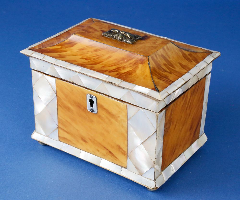 Appraisal: Mother of Pearl and Tortoiseshell Tea Caddy circa Mother of