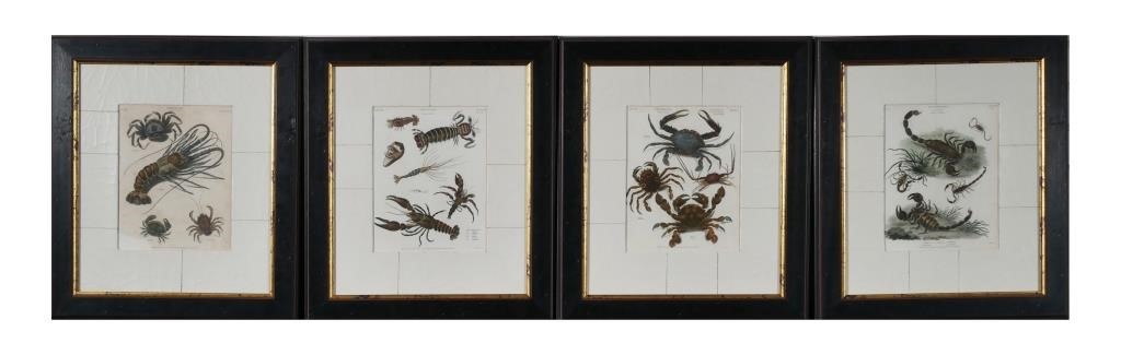 Appraisal: Group of Crustacean Scorpion zoological prints published by Longman Hurst