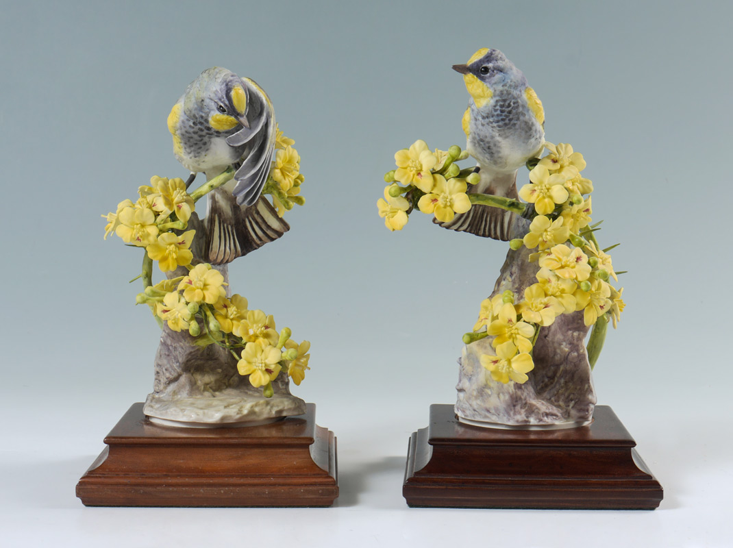 Appraisal: PAIR DOROTHY DOUGHTY AUDUBON WARBLER PORCELAIN BIRDS pieces total each