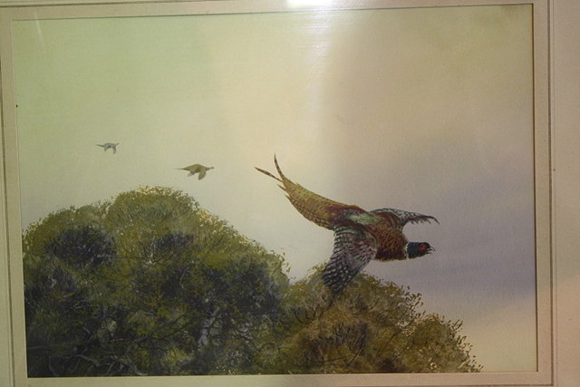 Appraisal: J Macbane th Century Pheasants in flight and pheasants a