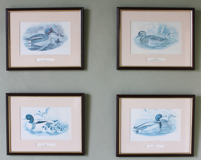 Appraisal: A set of four reproduction prints of ducks