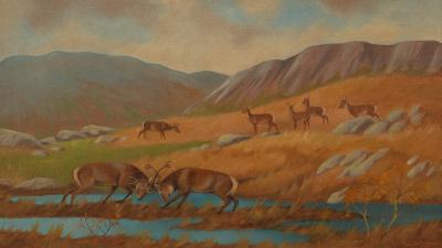 Appraisal: Ralston Gudgeon - Stag Rutting signed oil on board cm