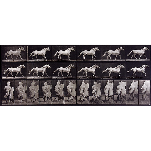 Appraisal: Eadweard Muybridge British American - Animal Locomotion plate nos ten