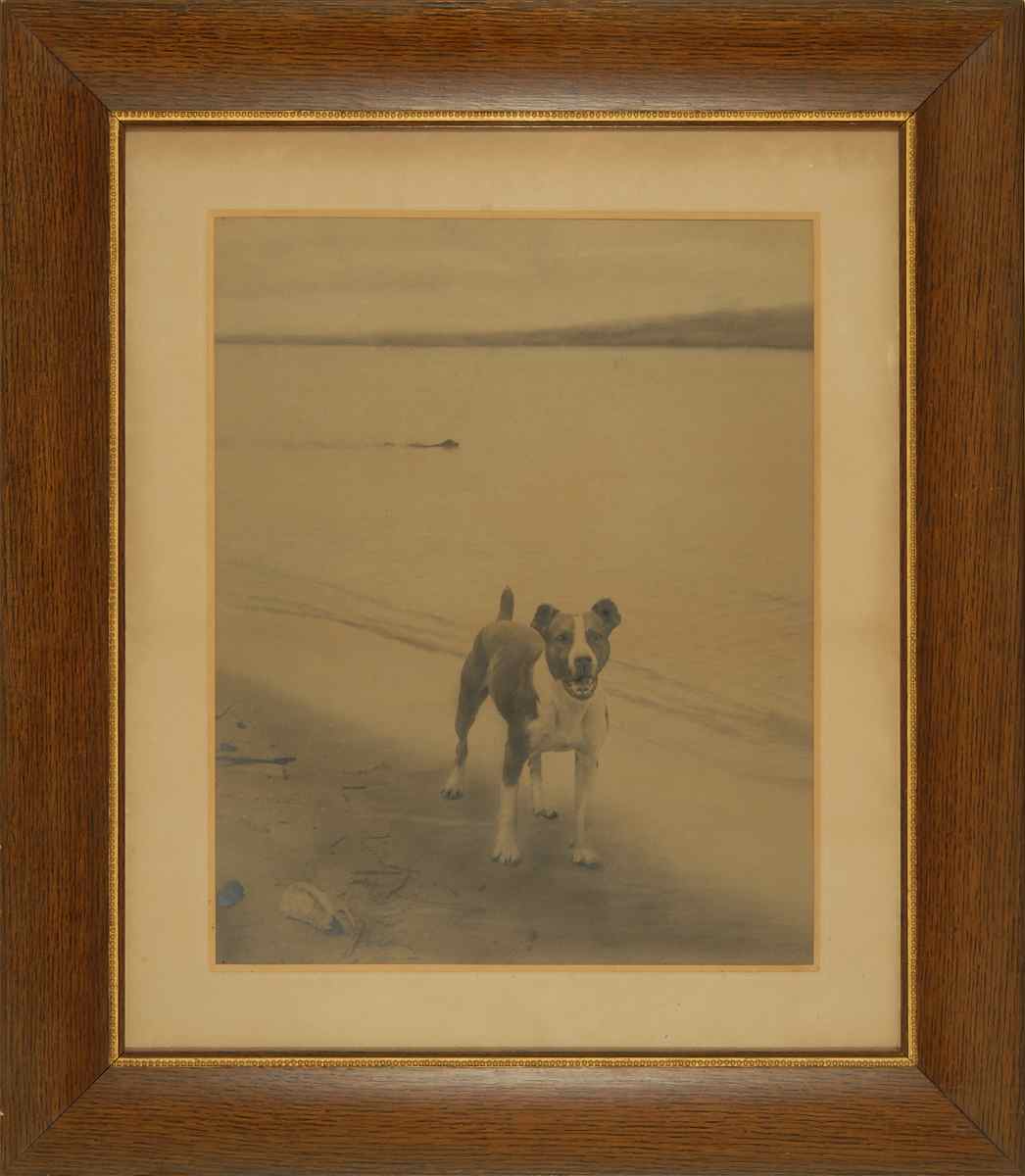 Appraisal: PHOTOGRAPHY - C M LITCHFIELD Framed late th century black