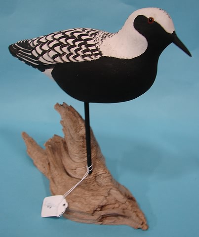 Appraisal: Black-bellied Shore bird on driftwood stand