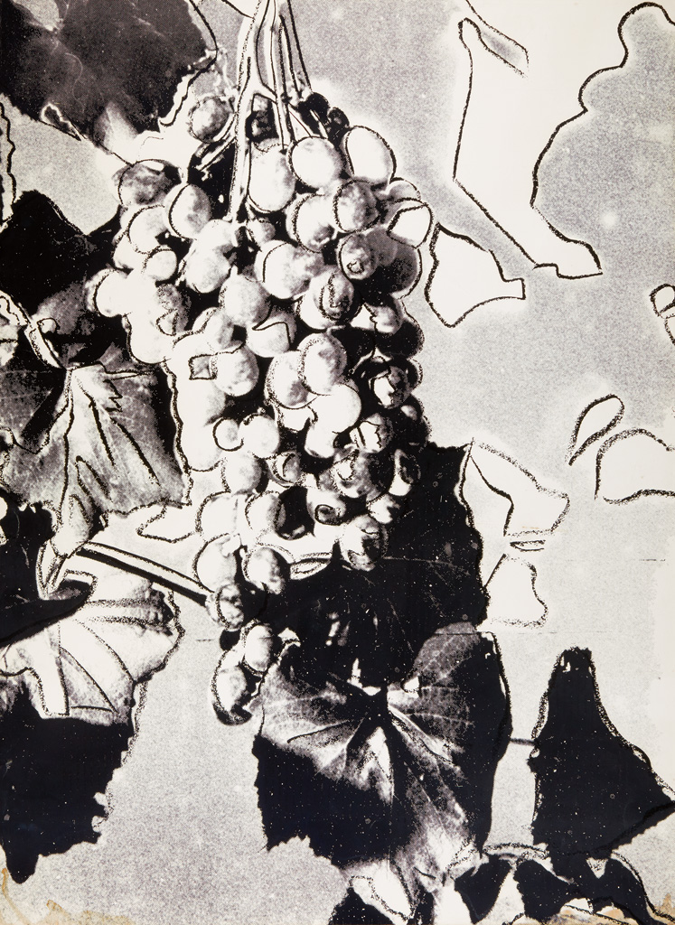 Appraisal: ANDY WARHOL Grapes Black Screenprint printed in black on Strathmore