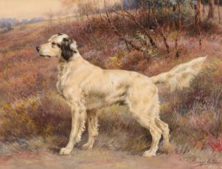 Appraisal: Edmund H Osthaus - Setter on Profilewatercolor and gouache on