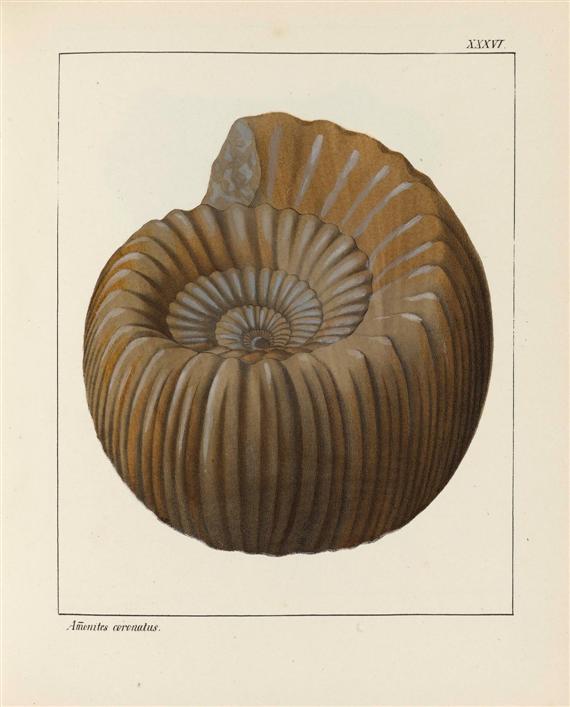 Appraisal: FOSSILS - Schmidt F A Petrefactenbuch oder allgemeine und besondere