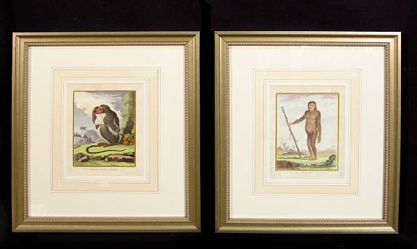 Appraisal: After Georges Louis Leclerc Buffon Historie Naturelle - Handcolored engravings