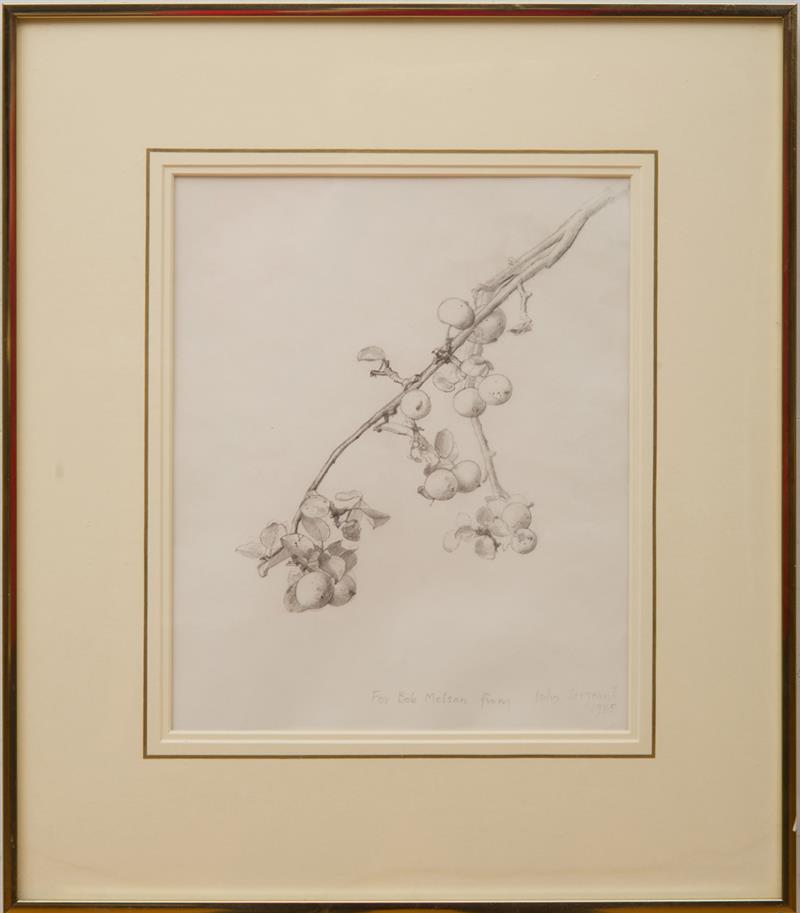 Appraisal: JOHN SERGEANT - CRAB APPLE BLOSSOMS Pencil on paper signed