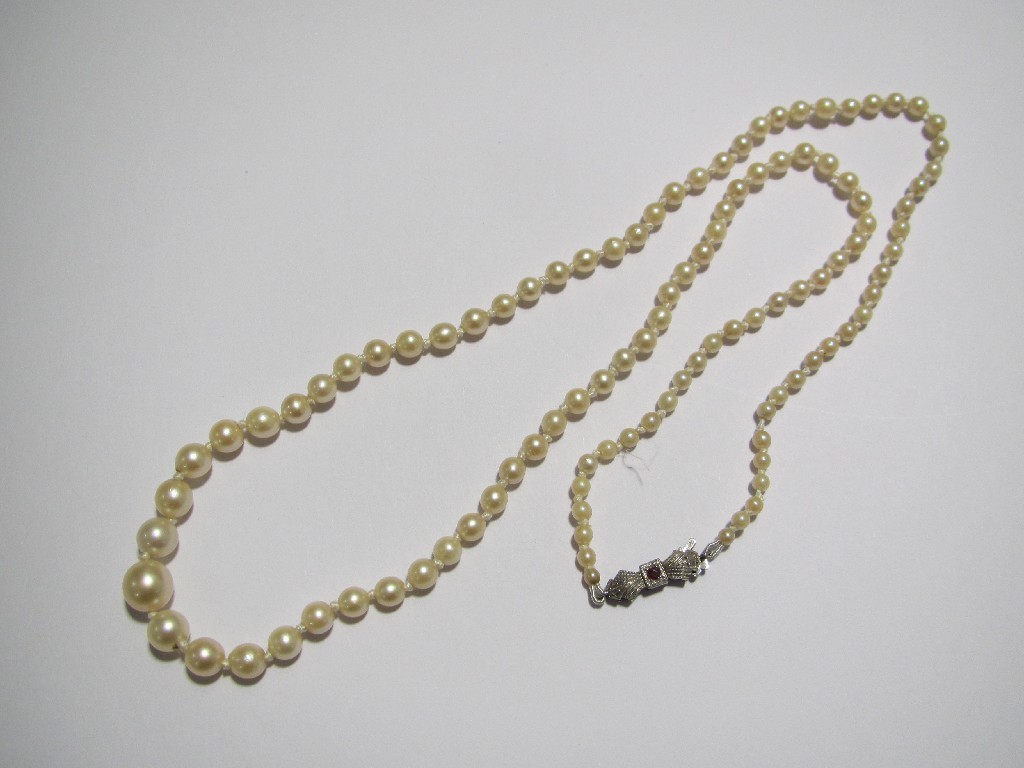 Appraisal: A single strand graduated pearl necklace with ruby set ct