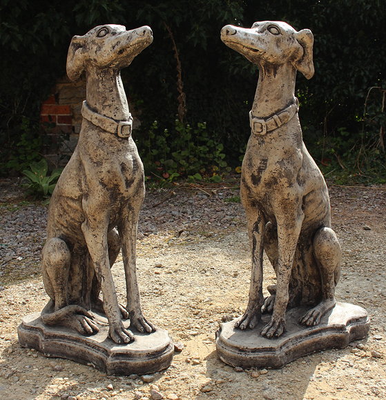 Appraisal: A PAIR OF CAST RECONSTITUTED STONE SCULPTURES OF GREYHOUNDS wearing