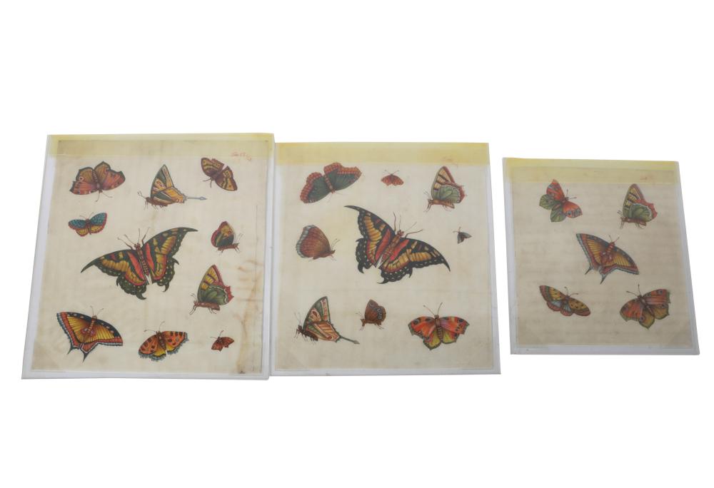 Appraisal: SET OF THREE BUTTERFLY STUDIESwatercolor and ink on paper unsigned