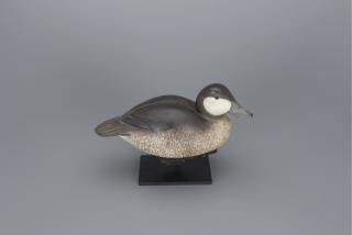 Appraisal: Ruddy Duck Robert Bob White b Ruddy Duck Robert Bob